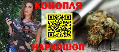 мдпв Кингисепп