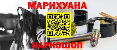 мдпв Кингисепп
