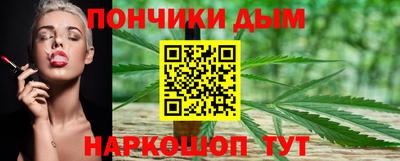мдпв Кингисепп