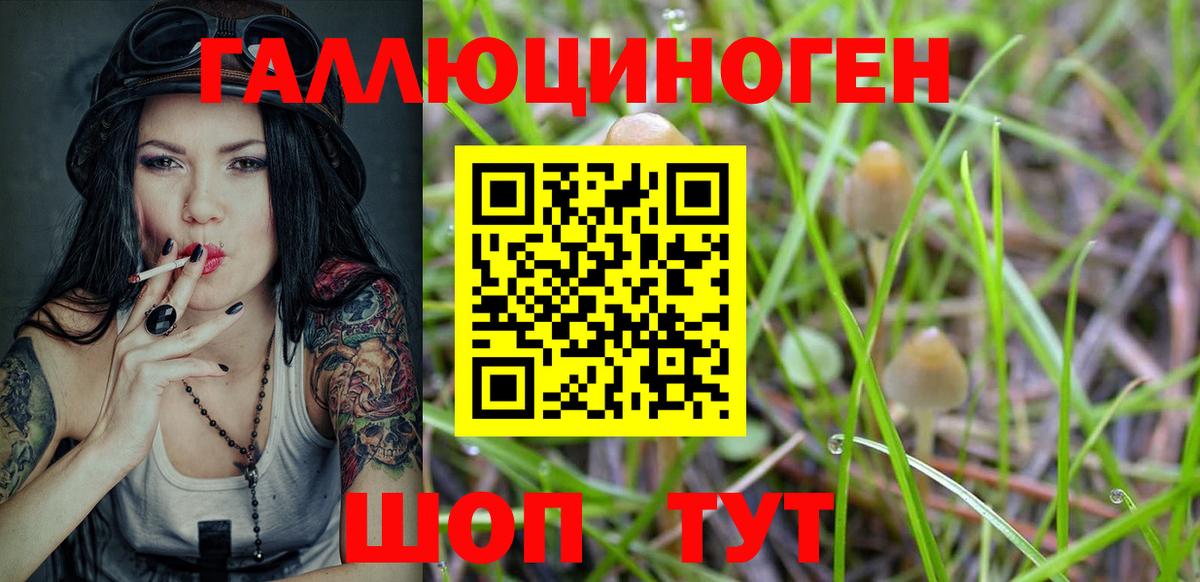 Шелехов  Псилоцибиновые грибы Magic Shrooms  Галлюциногенные грибы мицелий  Вход с VPN 
