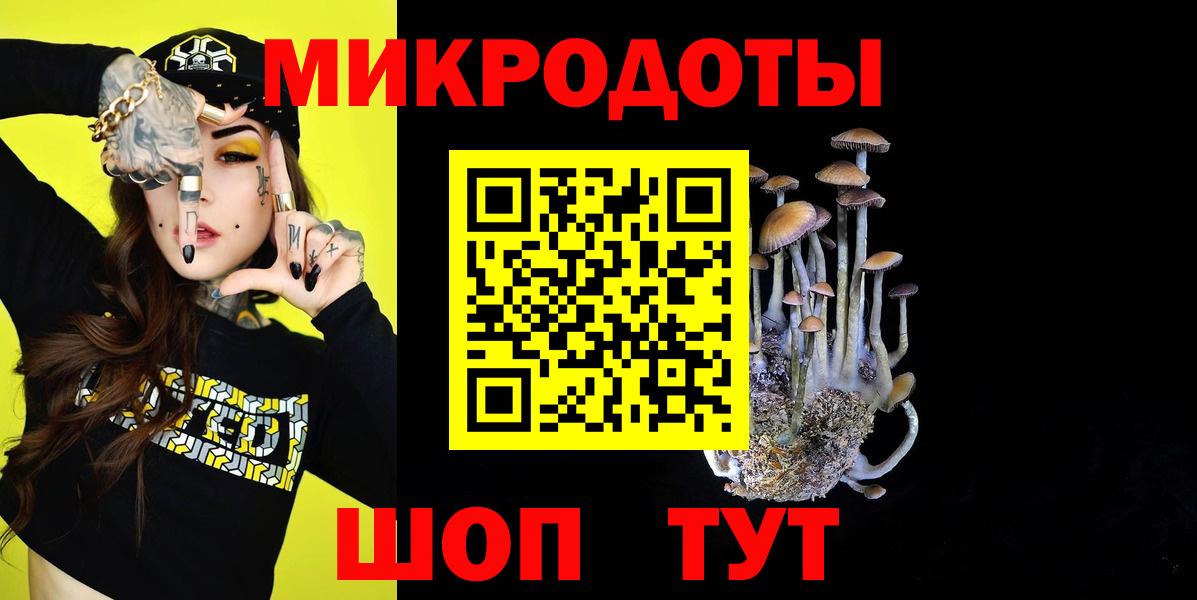 Псилоцибиновые грибы Cubensis Шелехов